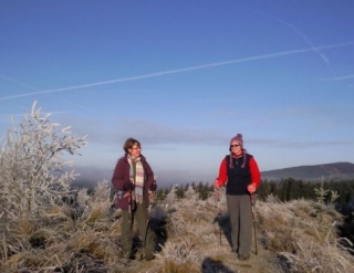  Una caminata escalofriante a través de Kielder 